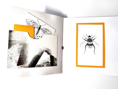 boek8klein-scaled